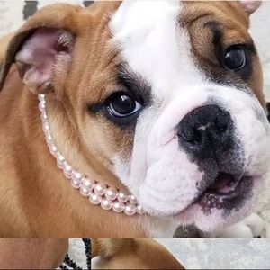 Meet your Posher, Nikki